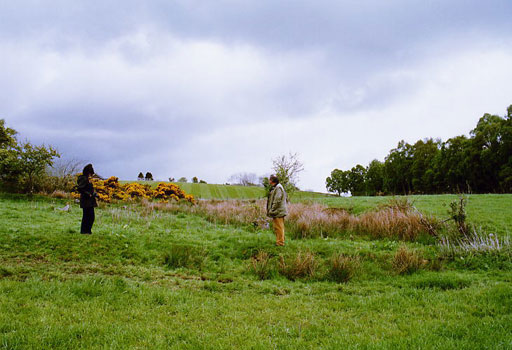 Gallowhill of Ferintosh